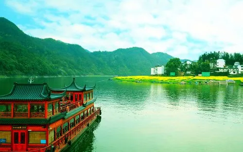 科技全自动高端
